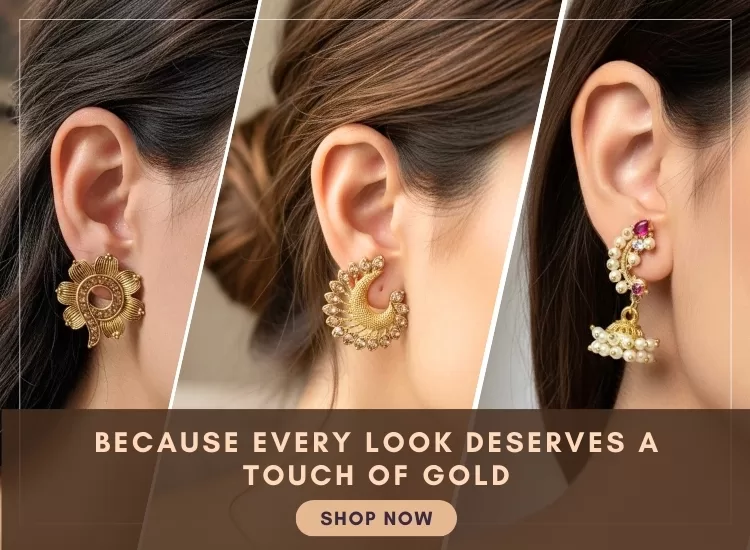 Pranishk Collection